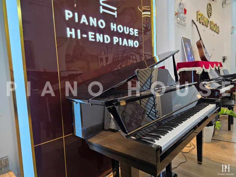YAMAHA DGP2 XG