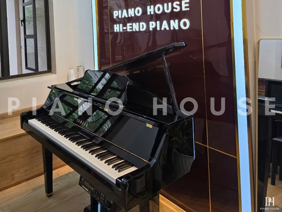 YAMAHA DGP2 XG