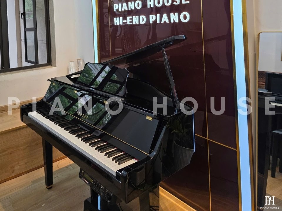 YAMAHA DGP2 XG
