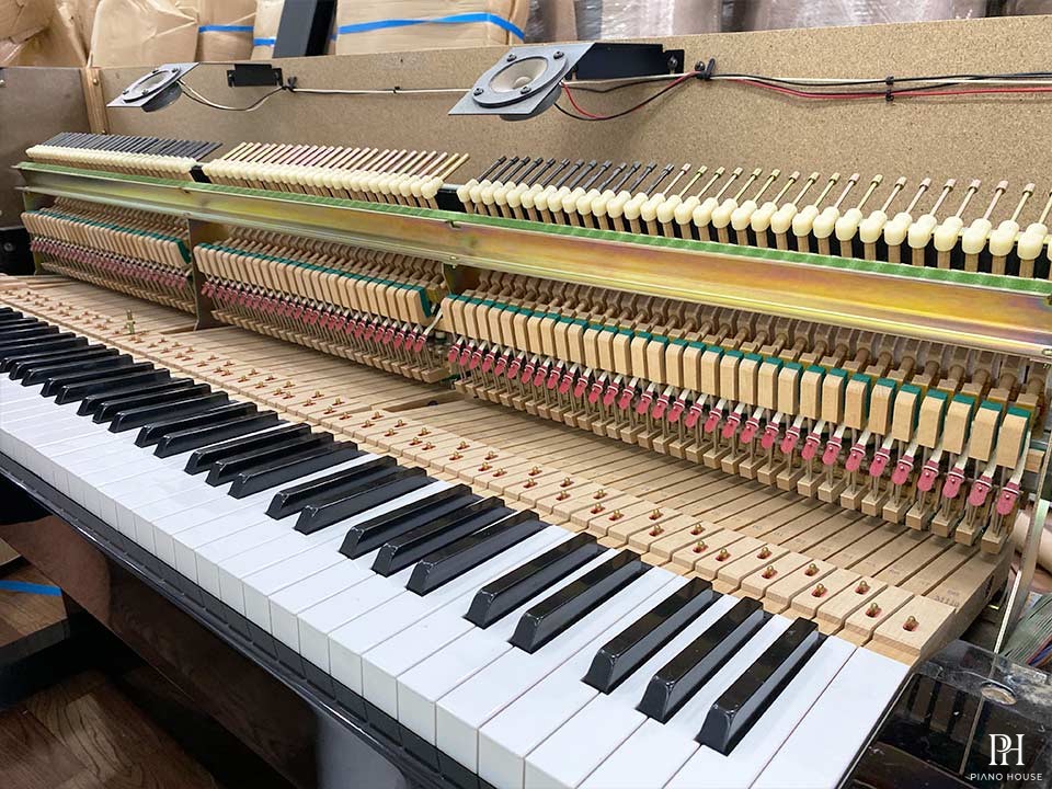 YAMAHA DUP-10 B