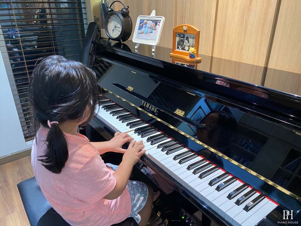 YAMAHA DUP-20 PE