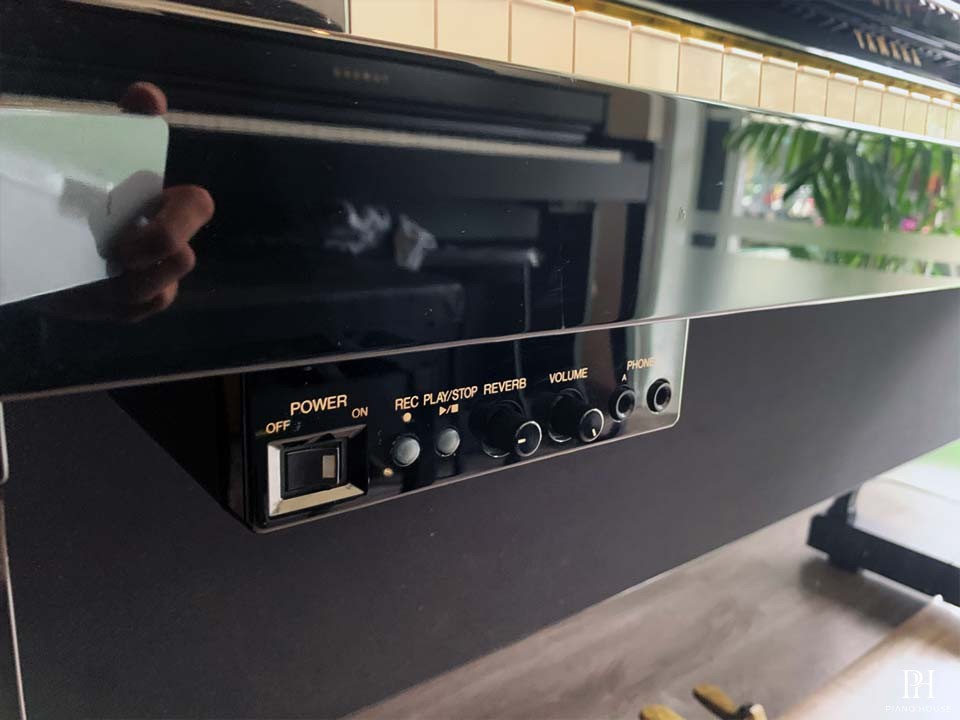 YAMAHA DUP-22 PE