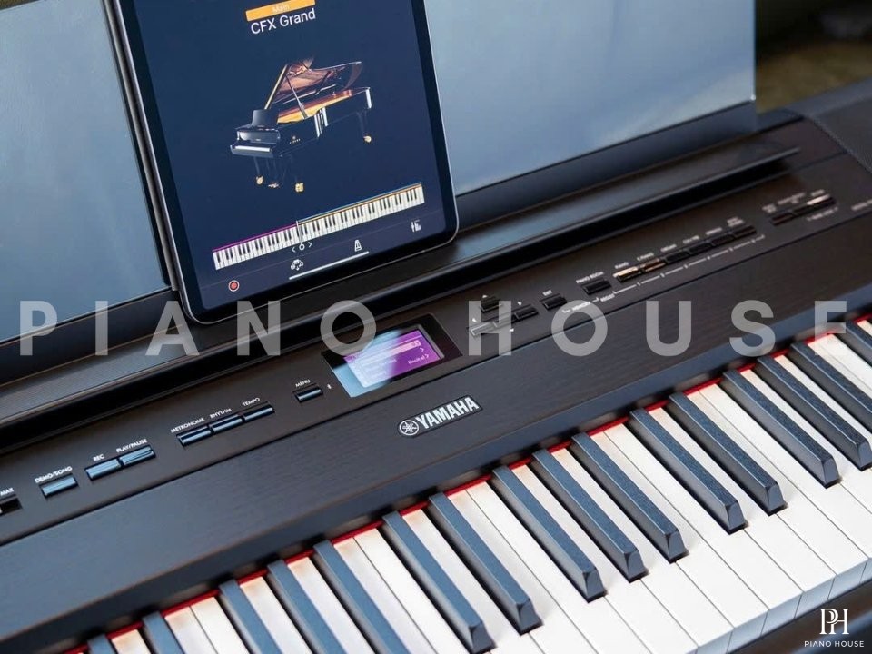 YAMAHA P-525 BK