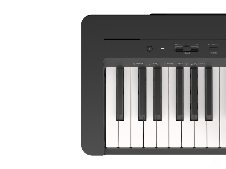 YAMAHA P-143WH