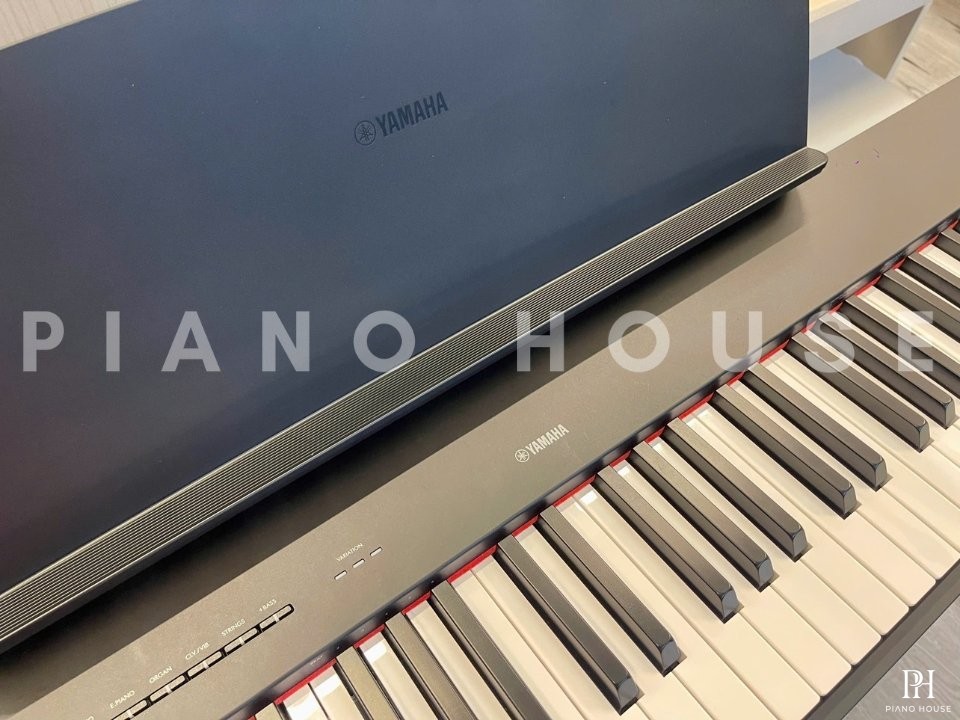 YAMAHA P-225B