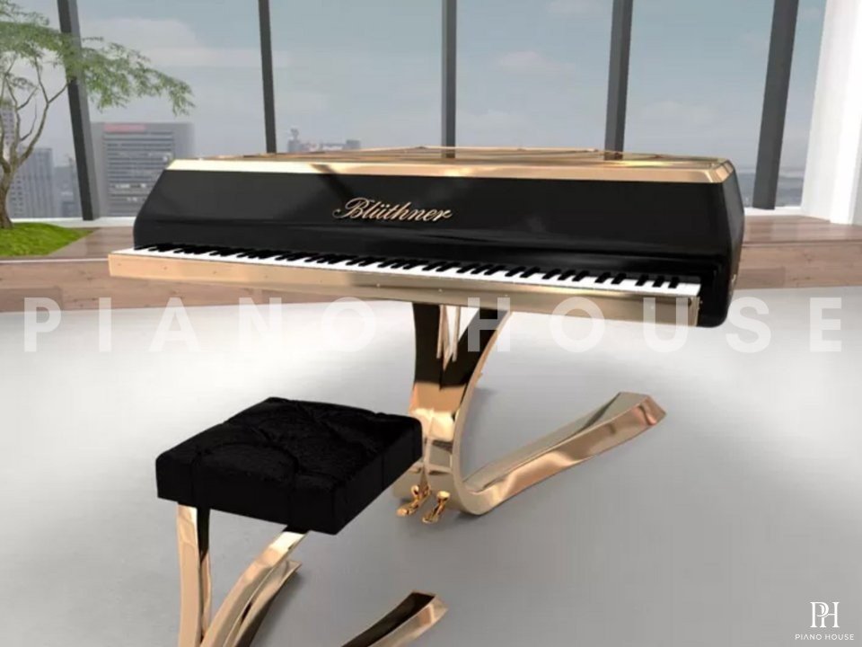 Blüthner ENZO
