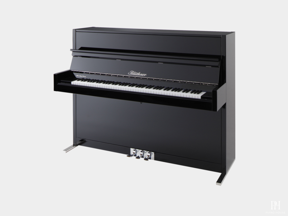 Blüthner Model D