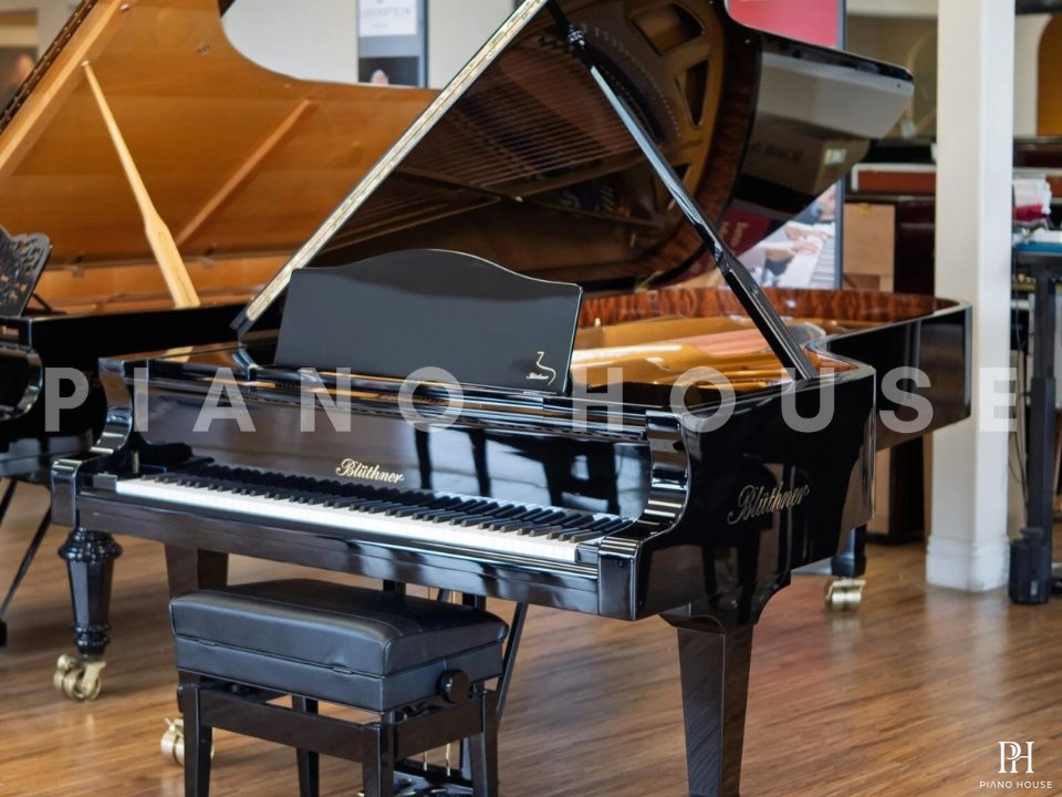 Blüthner Model 1