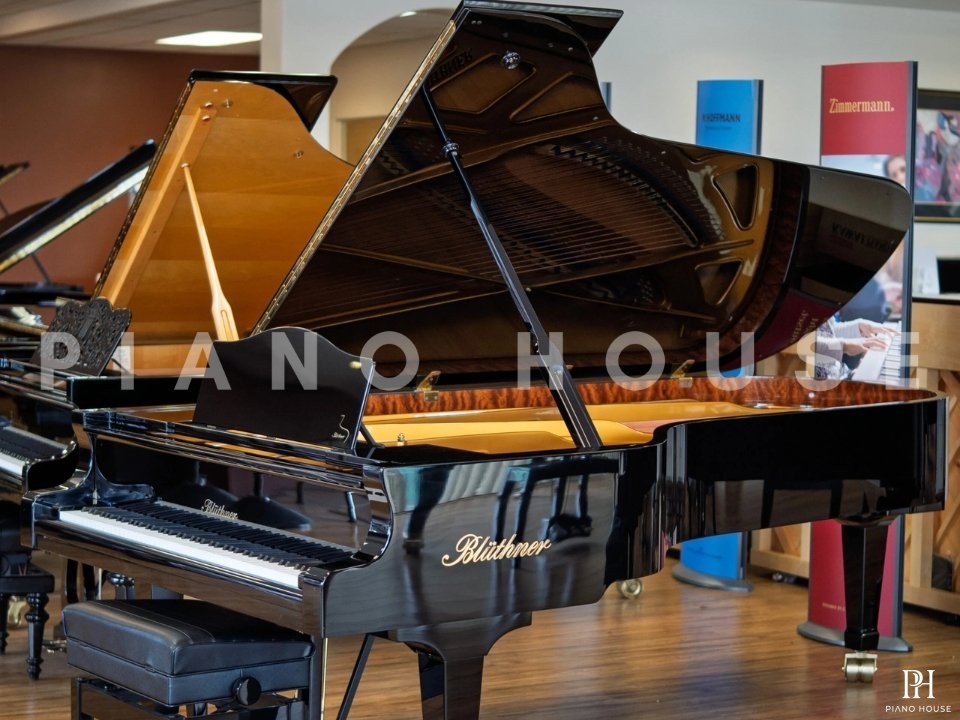 Blüthner Model 1