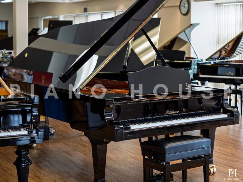 Blüthner Model 1