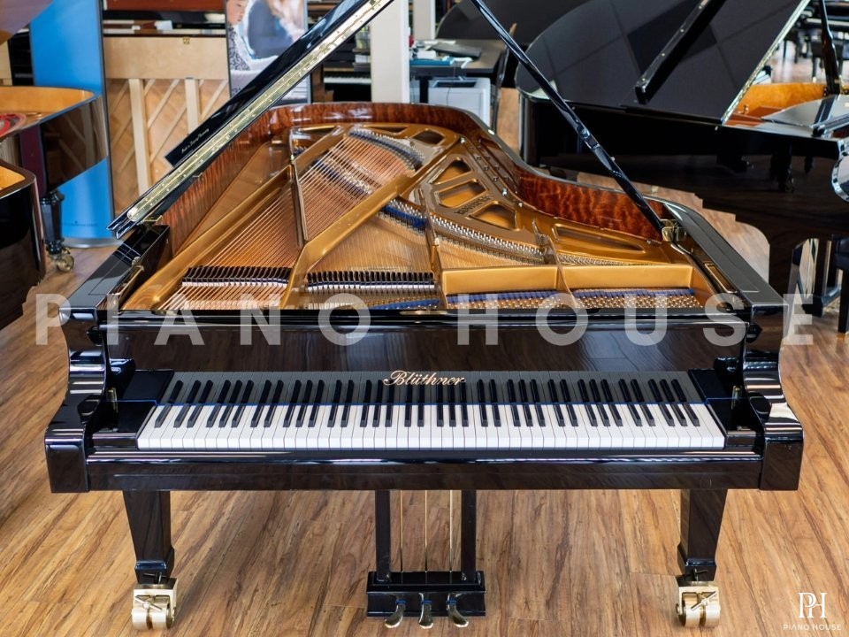 Blüthner Model 1
