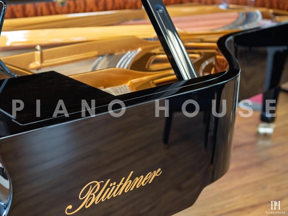 Blüthner Model 1