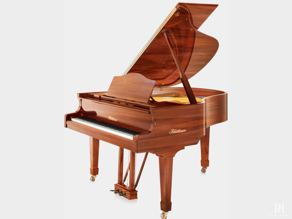 Blüthner Model 10