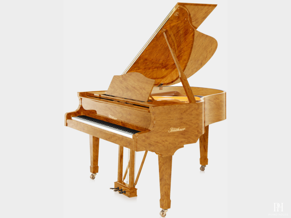 Blüthner Model 10