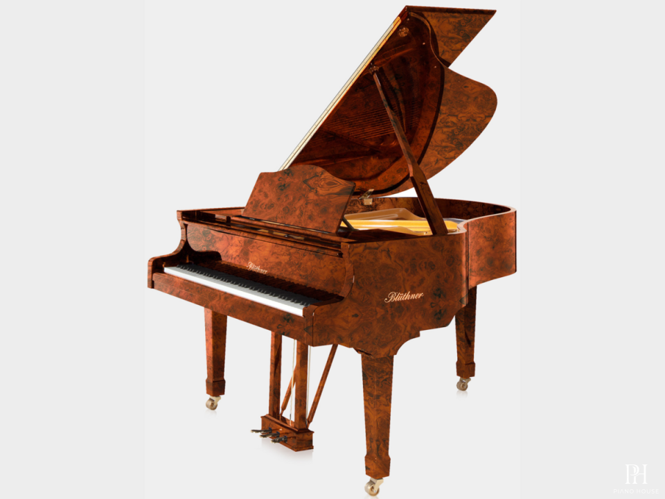 Blüthner Model 10
