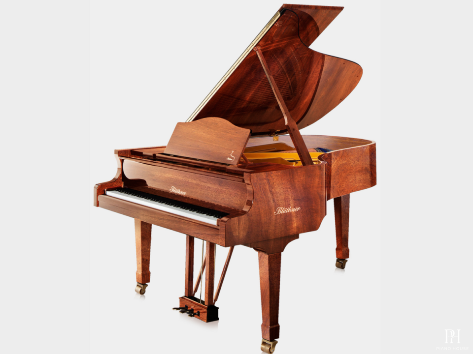 Blüthner Model 6