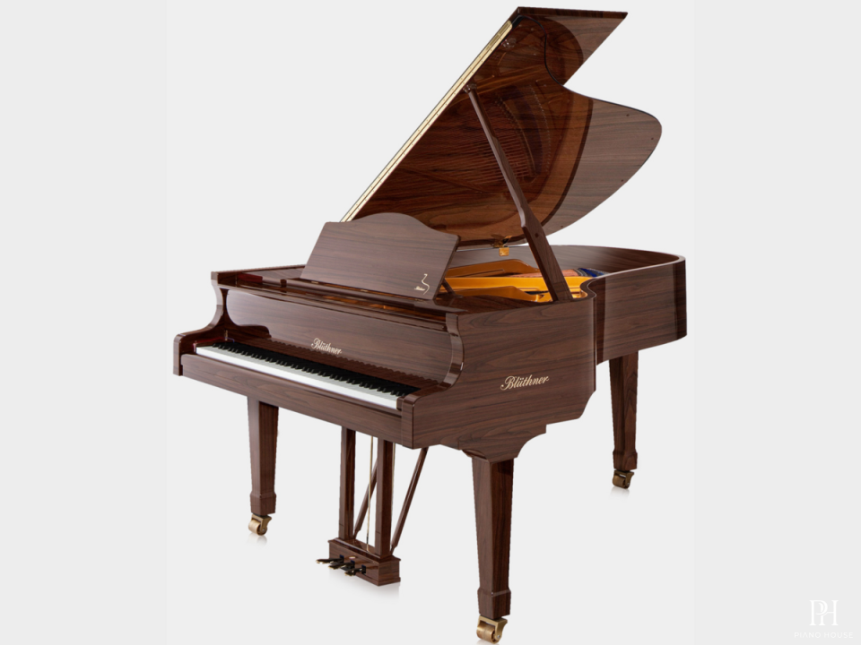Blüthner Model 6