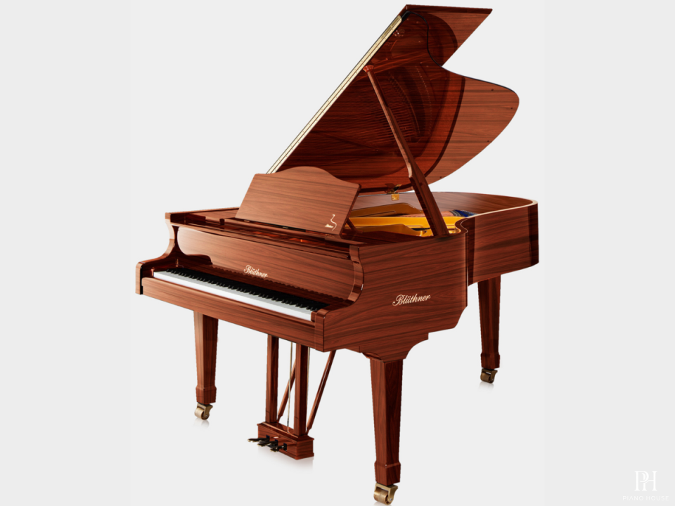 Blüthner Model 6