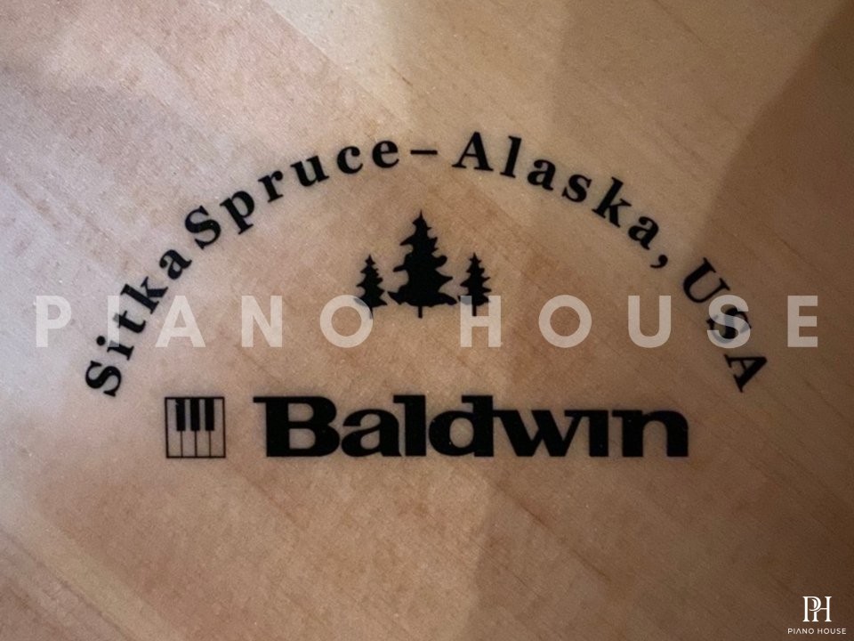 Baldwin BP190 HPE