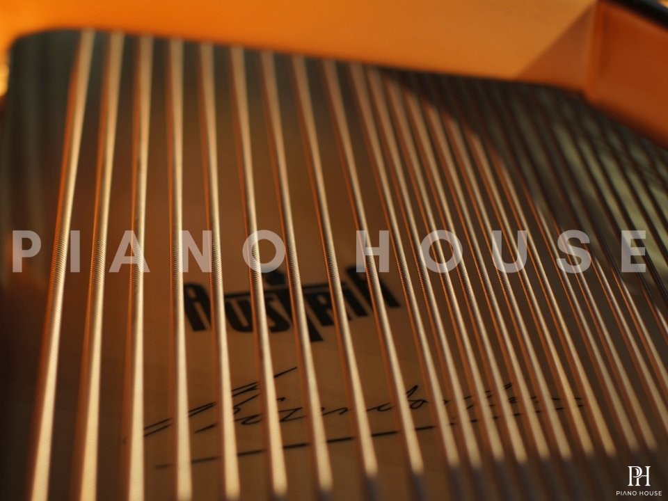 Bösendorfer 200VC