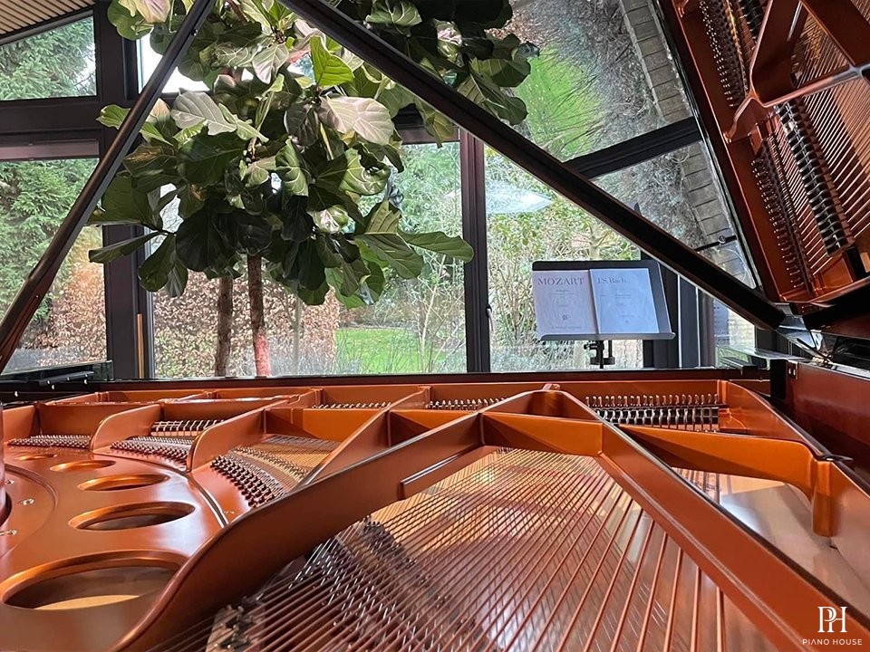 Bösendorfer 230VC