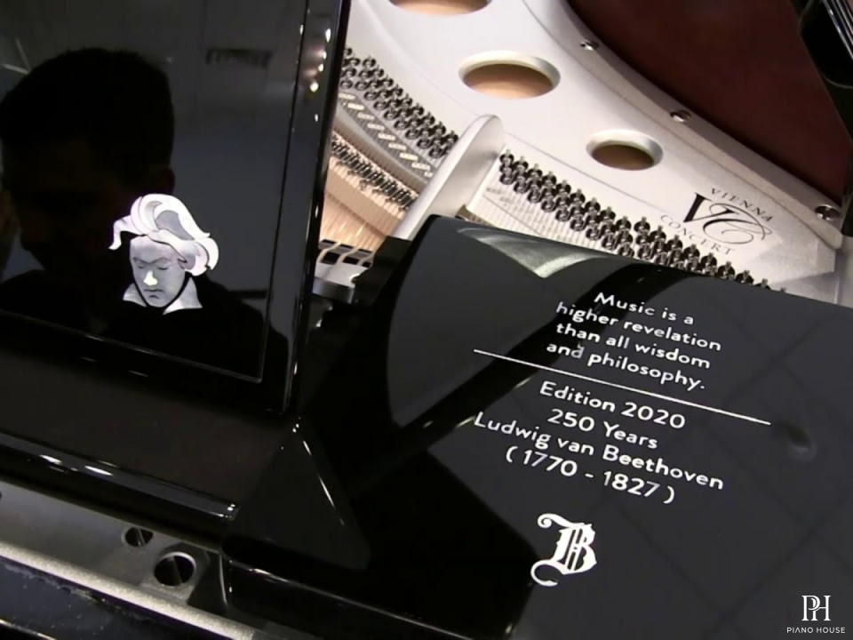 [Collector's Item] 250 Years Beethoven