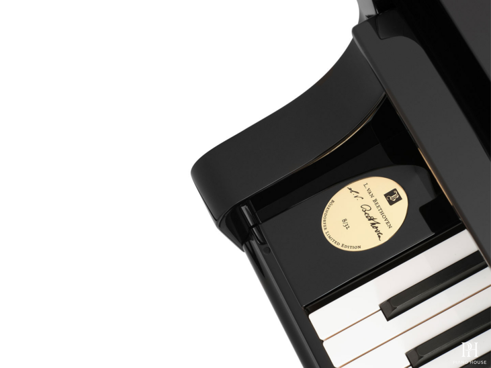 [Collector's Item] 250 Years Beethoven