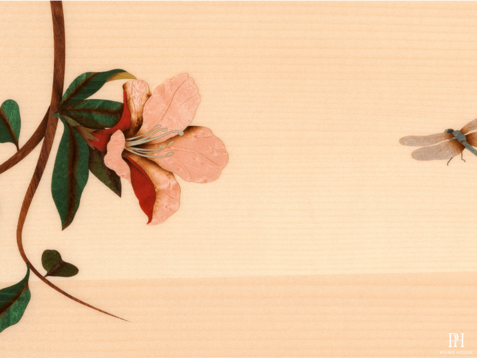 [Collector's Item] DRAGONFLY
