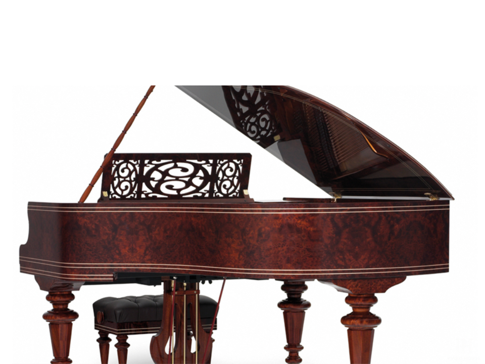 [Ultimate Designed] LISZT