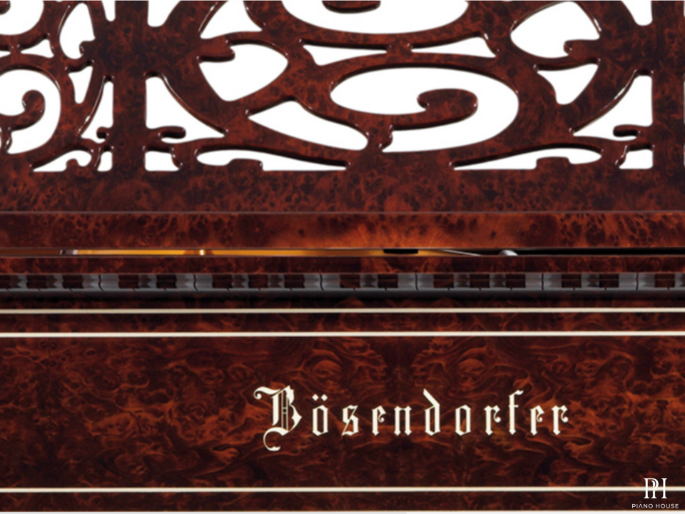 [Ultimate Designed] LISZT