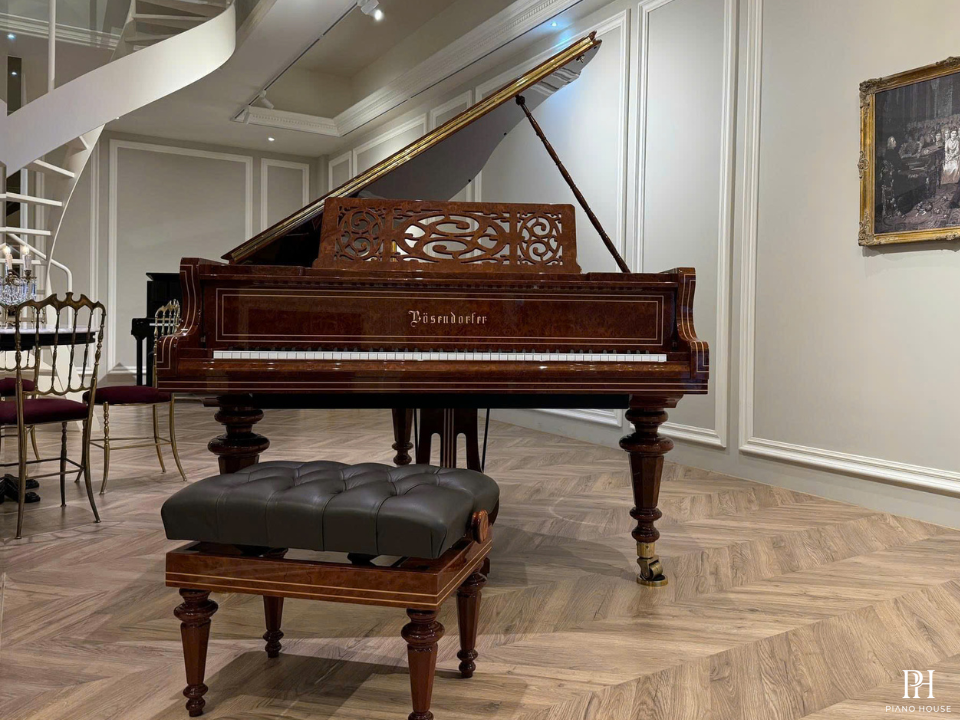 [Ultimate Designed] LISZT