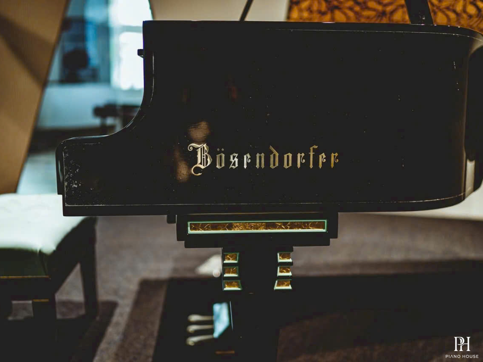 [Collector's Item] Bösendorfer Secession