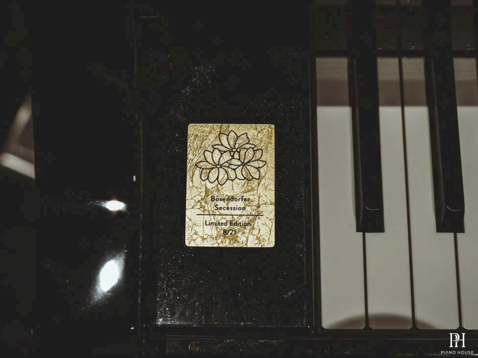 [Collector's Item] Bösendorfer Secession