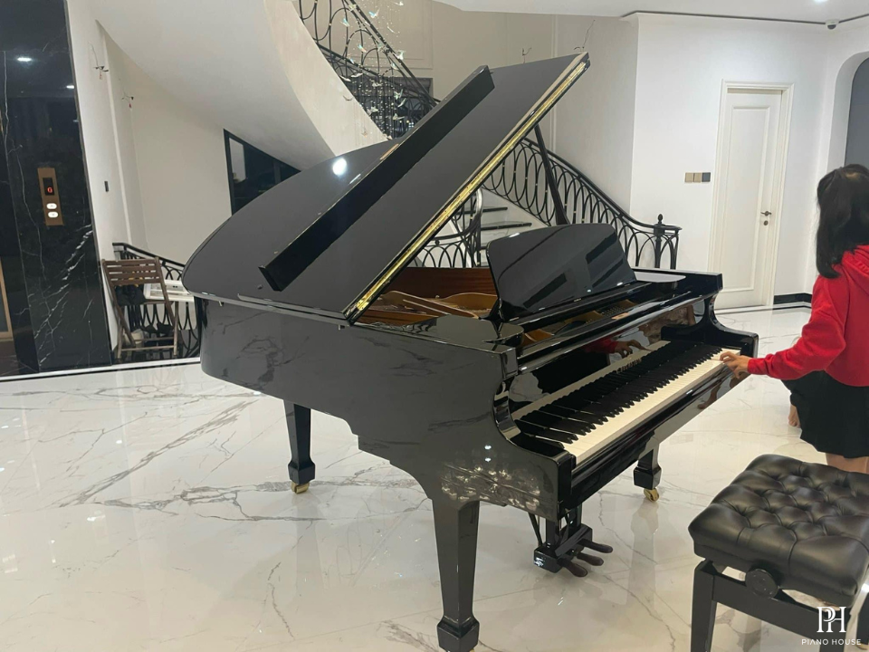 C.Bechstein Academy A175