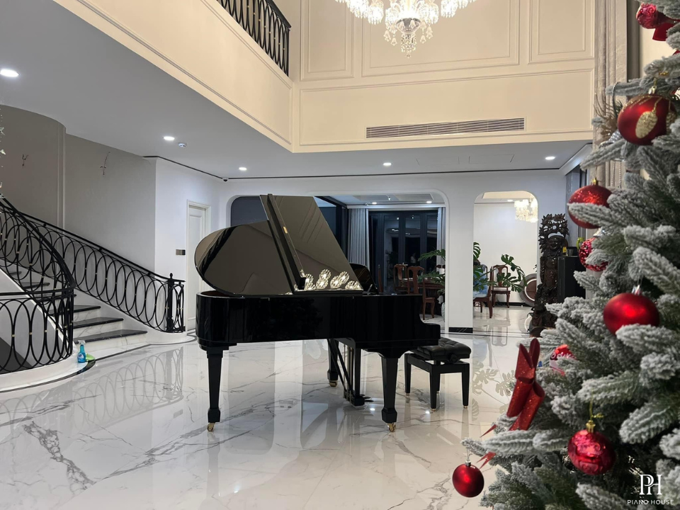 C.Bechstein Academy A175
