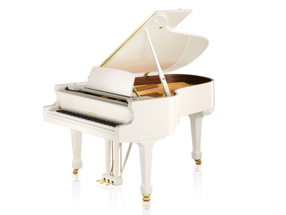 C.Bechstein Academy A175