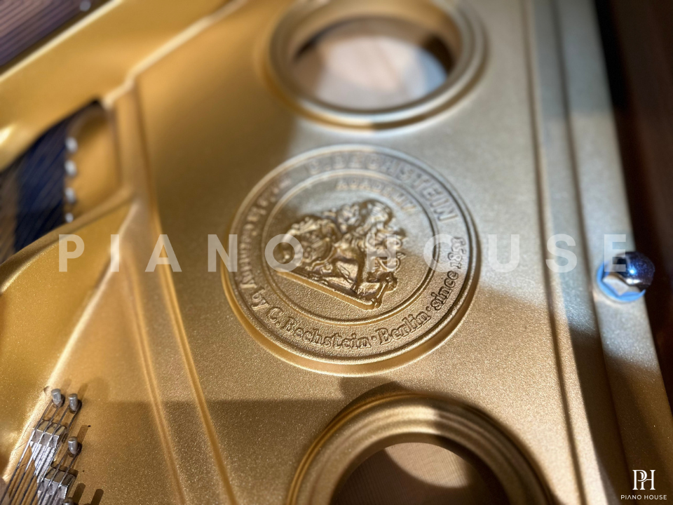 C.Bechstein Academy A190 (USED)