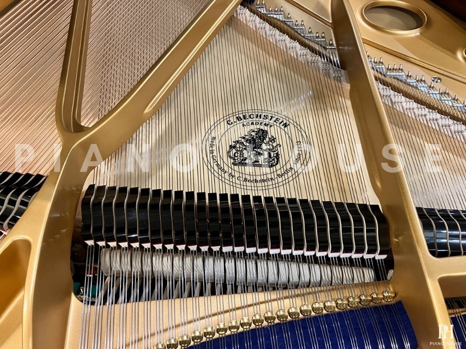 C.Bechstein Academy A190 (Black with Brass)
