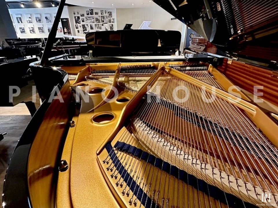 C.Bechstein Academy A190 (USED)