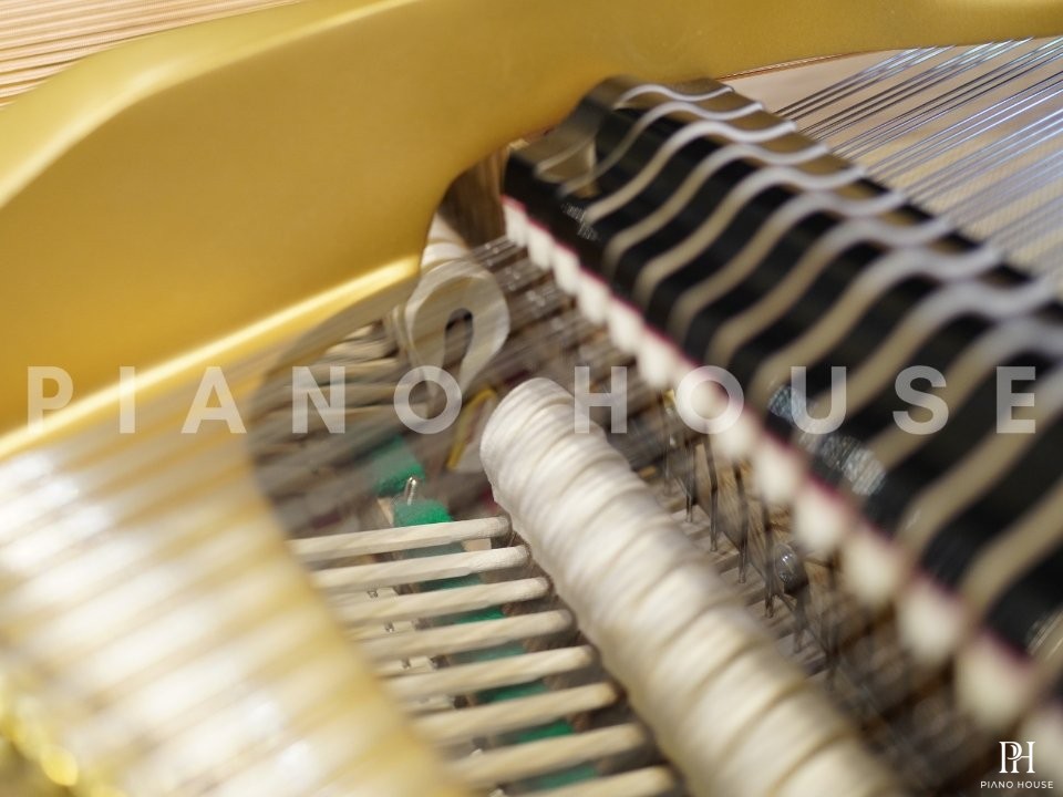 C.Bechstein Academy A208