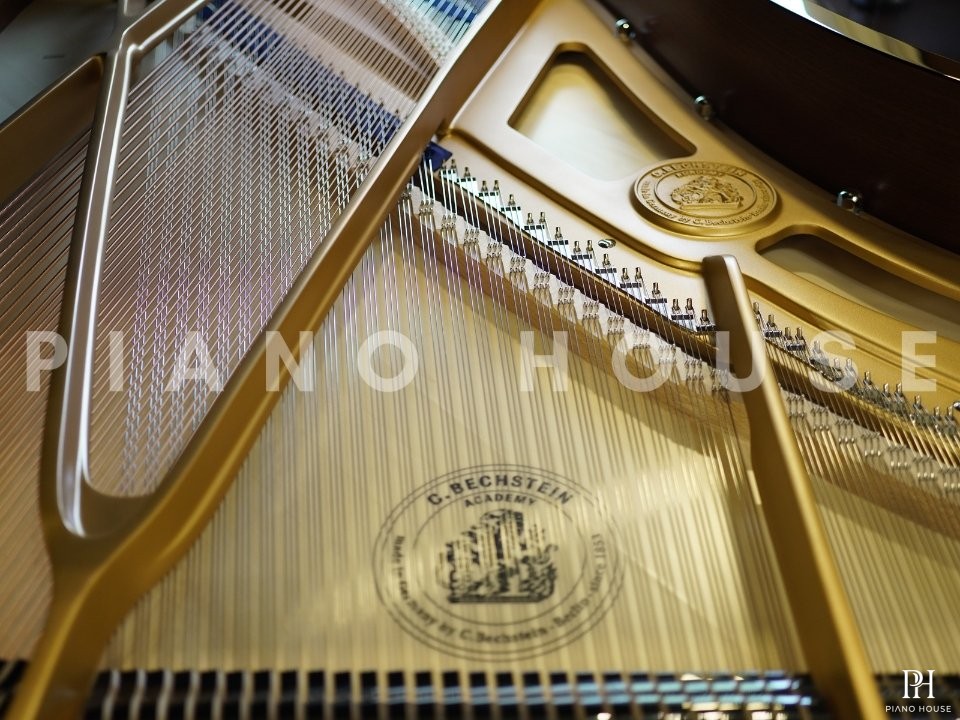 C.Bechstein Academy A208