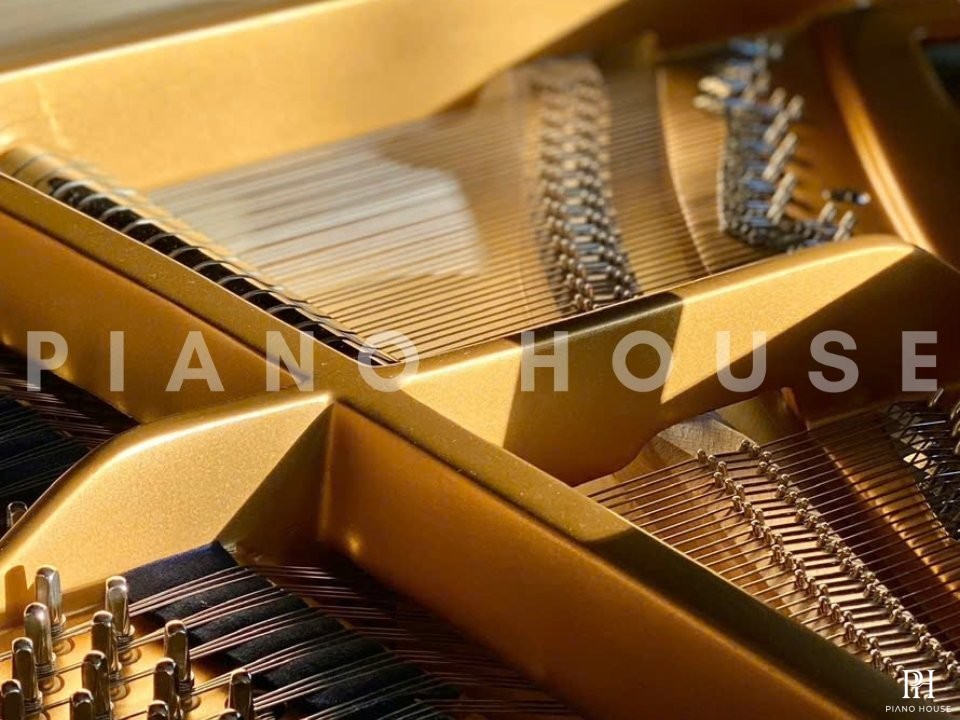 C.Bechstein Academy A228 (USED)