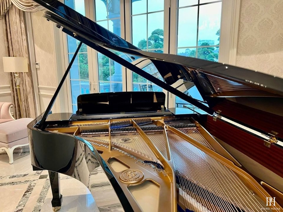 C.Bechstein Academy A228