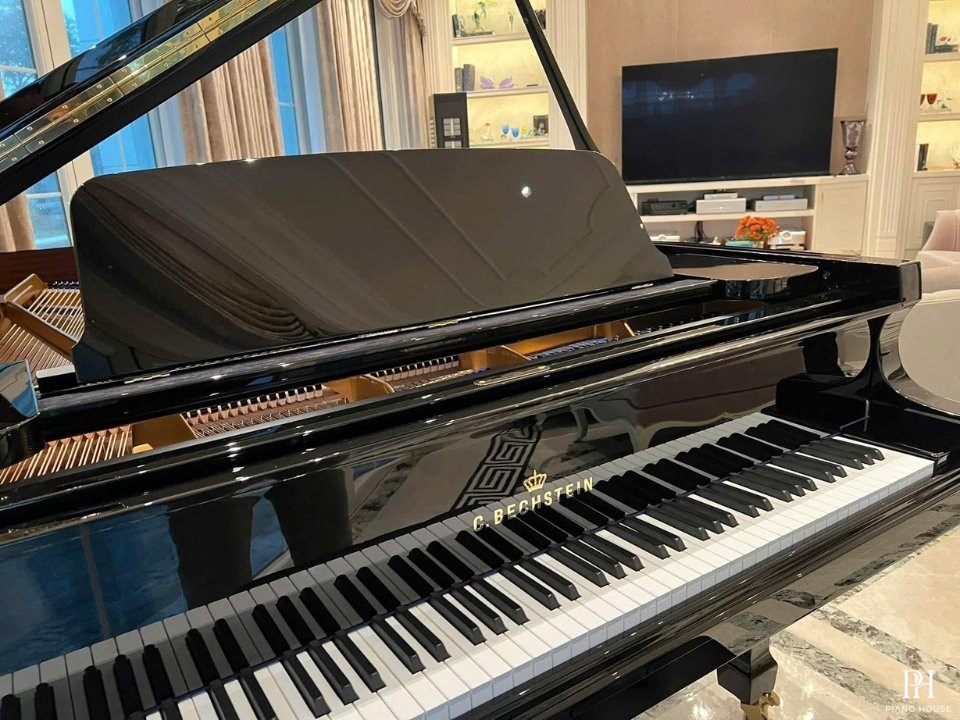 C.Bechstein Academy A228