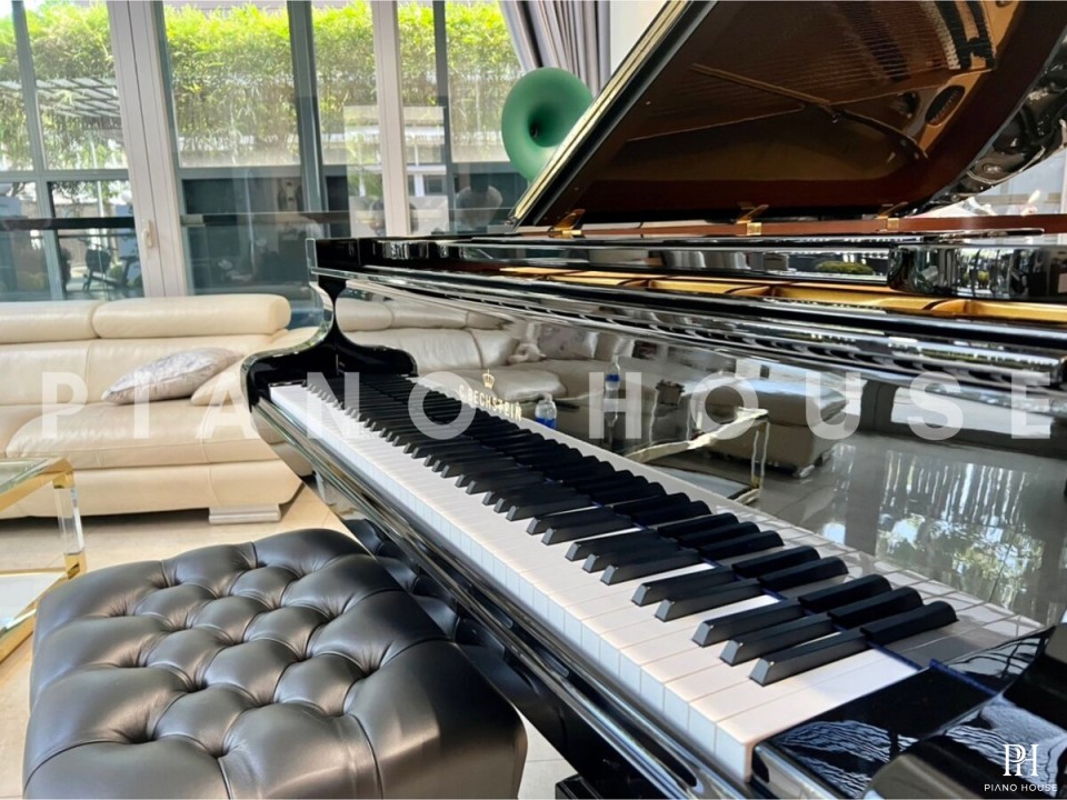 C.Bechstein Concert C234