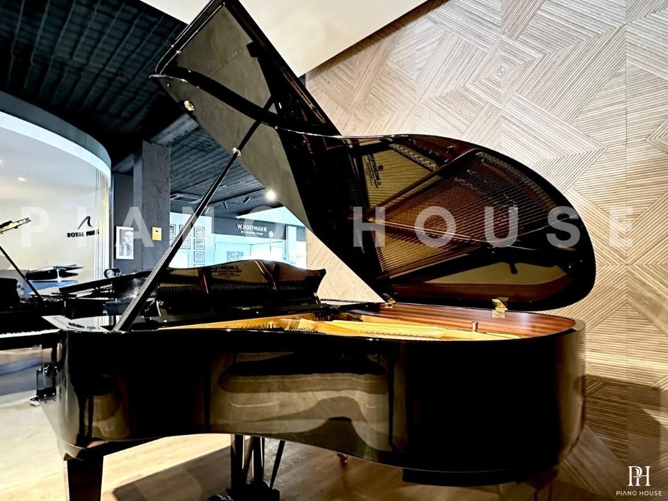 C.Bechstein Concert L167