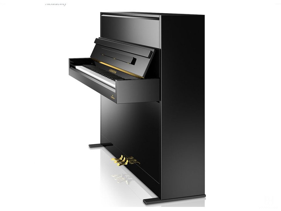 A2 (C.Bechstein Academy)
