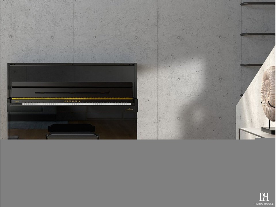 A4 (C.Bechstein Academy)