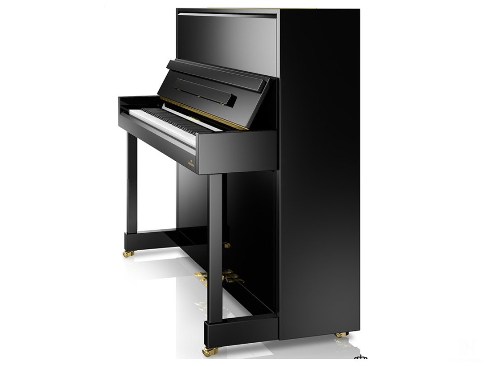A6 (C.Bechstein Academy)