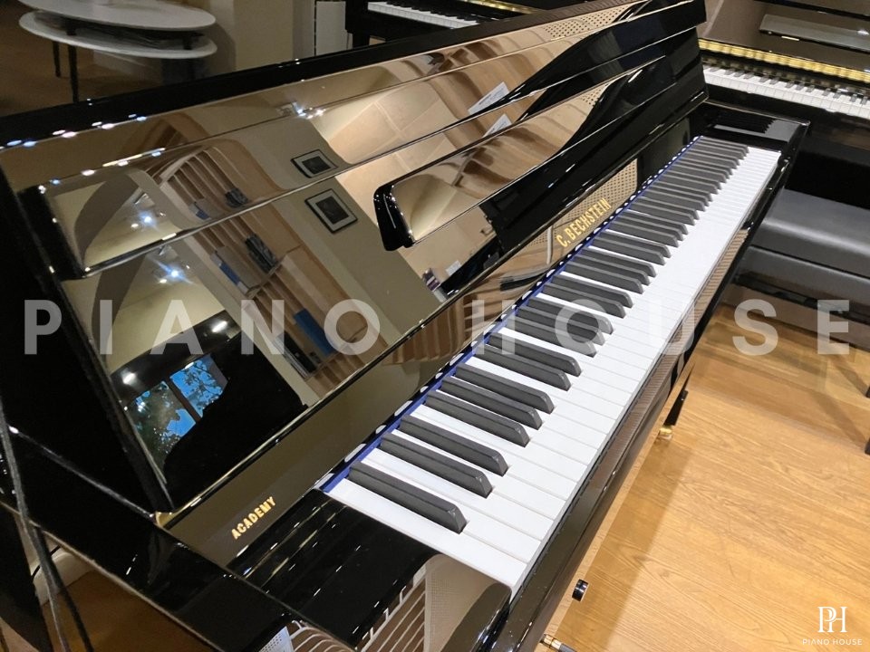 A6 (C.Bechstein Academy)